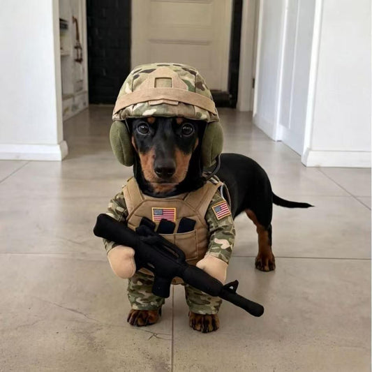 Puppy wearing a military-style soldier costume outfit with matching hat and accessories