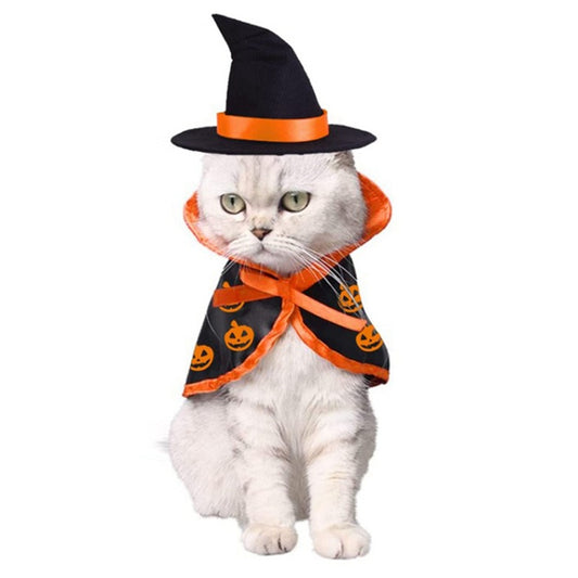 Pet wearing a black-and-orange witch hat and cape Halloween costume