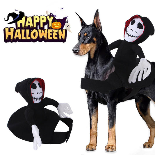 Dog wearing a black spooky rider Halloween costume
