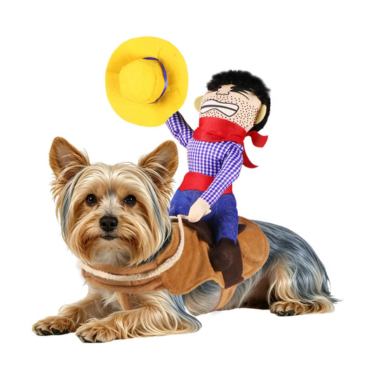 pet wearing a black spooky rider Halloween costume