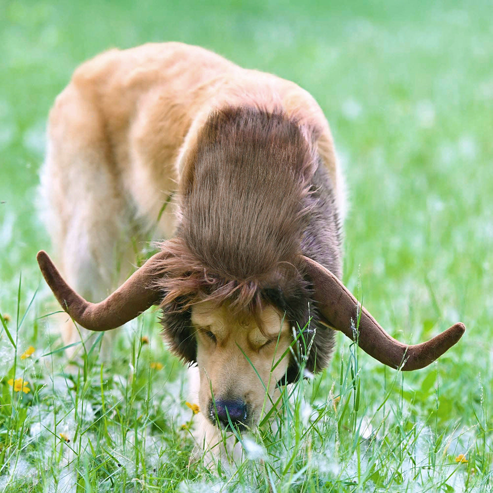 Funny bull-inspired wig headdress on a dog for pet dress-up