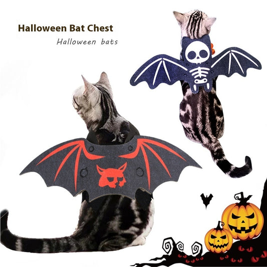 Cat wearing bat wings for Halloween