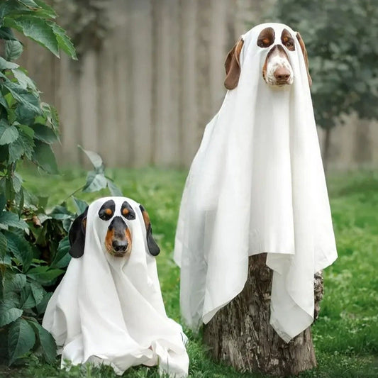 Cute white ghost Halloween costume for dogs and cats